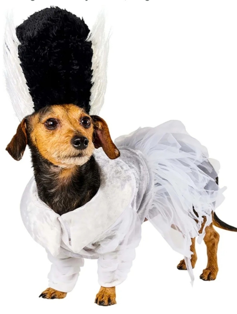 New Large Universal Monsters: Bride Of Frankenstein Pet Costume for Dogs